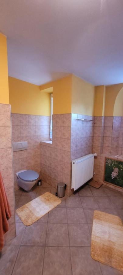 Stylowy Apartament Na Ptasiej Gorze イェレニャ・グーラ エクステリア 写真